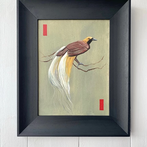 Nathan Jones, The Bird of Paradise, oil on paper, 43 x 35cm (framed), 2020.jpg